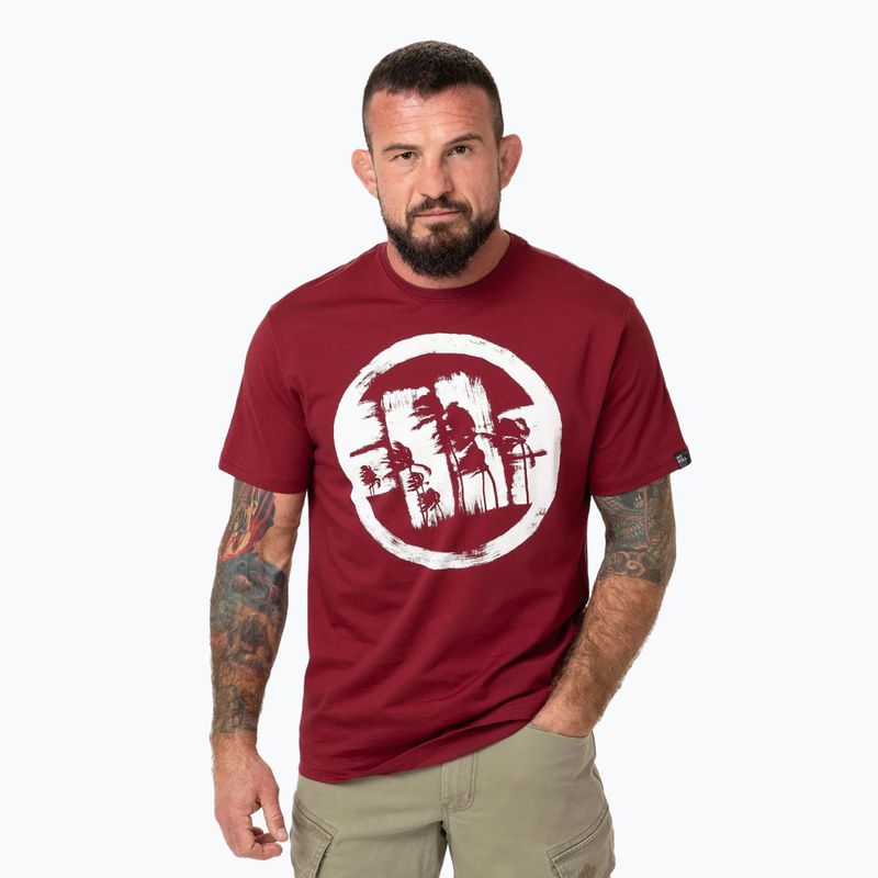 Vyriški marškinėliai Pitbull Logo Palms burgundy