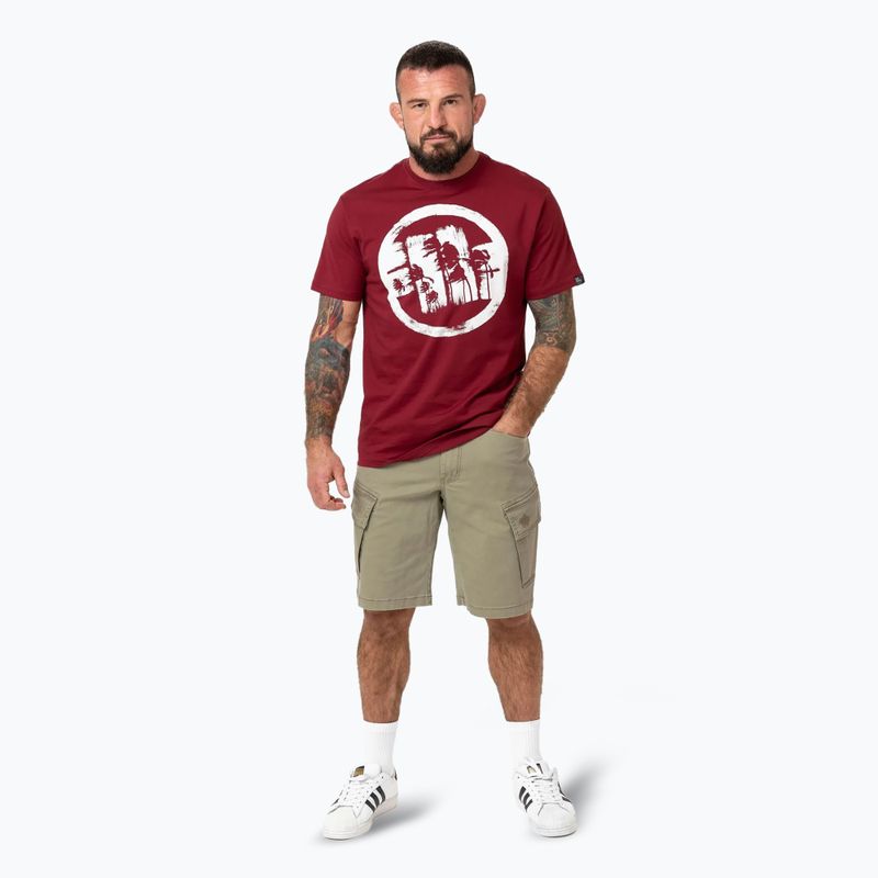 Vyriški marškinėliai Pitbull Logo Palms burgundy 2