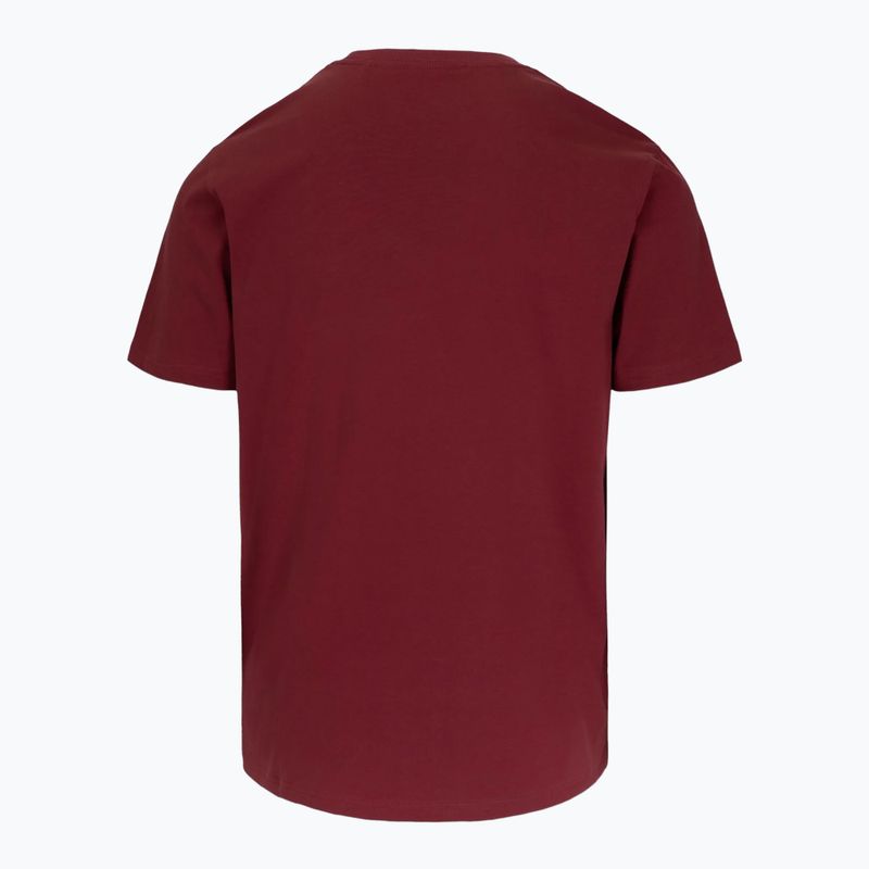 Vyriški marškinėliai Pitbull Logo Palms burgundy 5