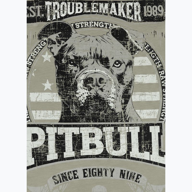 Vyriški marškinėliai Pitbull Troublemarker dusty salvia 5