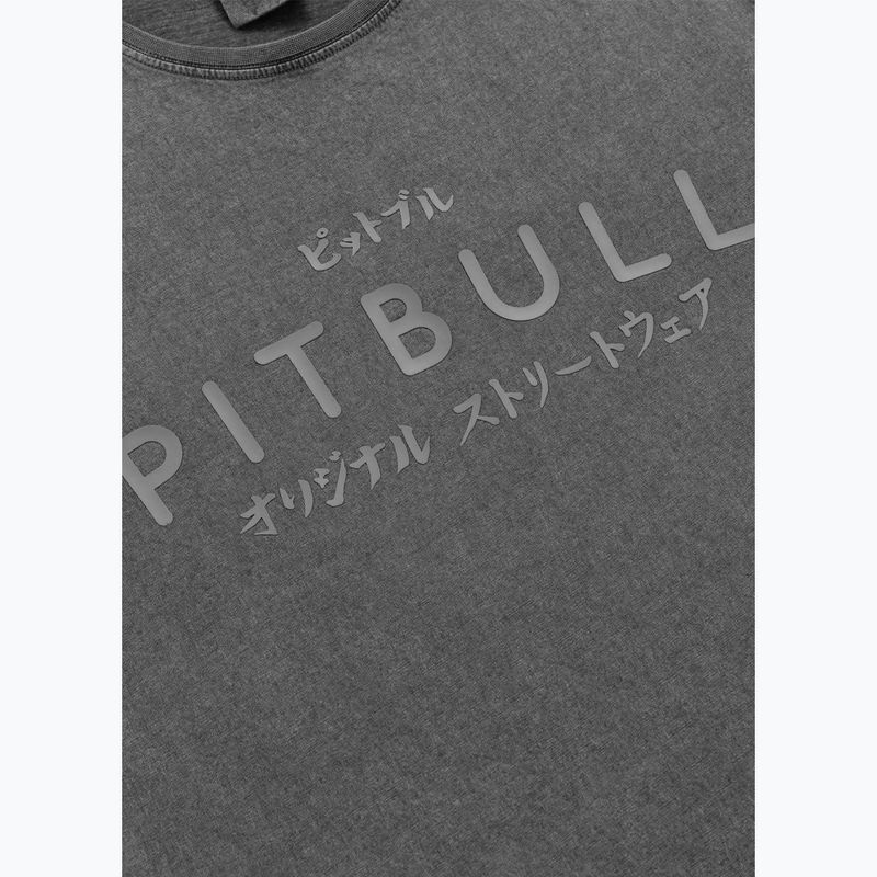 Vyriški marškinėliai Pitbull Mt. Fuji washed grey 4