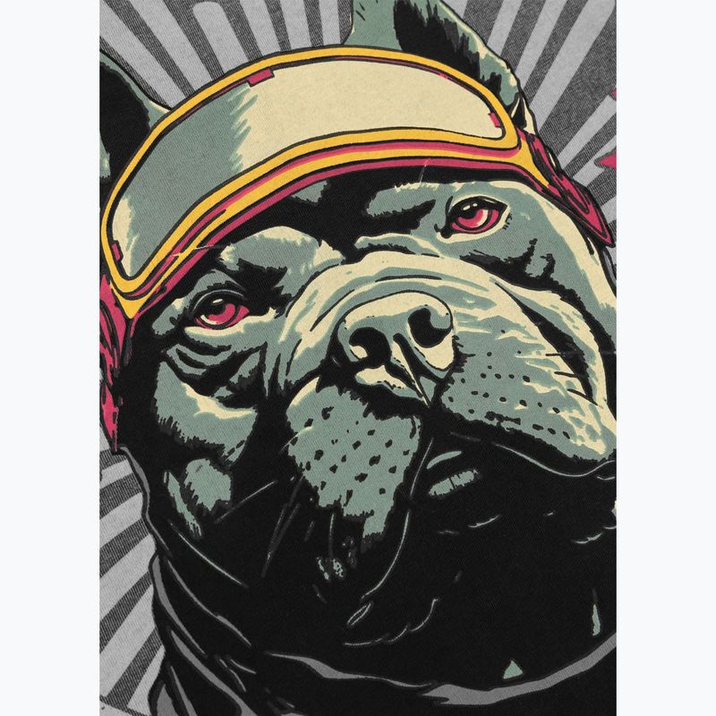 Vyriški marškinėliai Pitbull Mt. Fuji washed grey 6