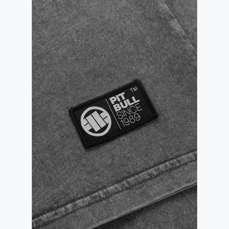 Vyriški marškinėliai Pitbull Mt. Fuji washed grey 8
