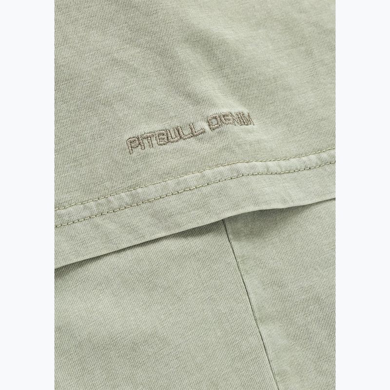 Vyriški marškinėliai Pitbull Planet Surf dusty salvia 9