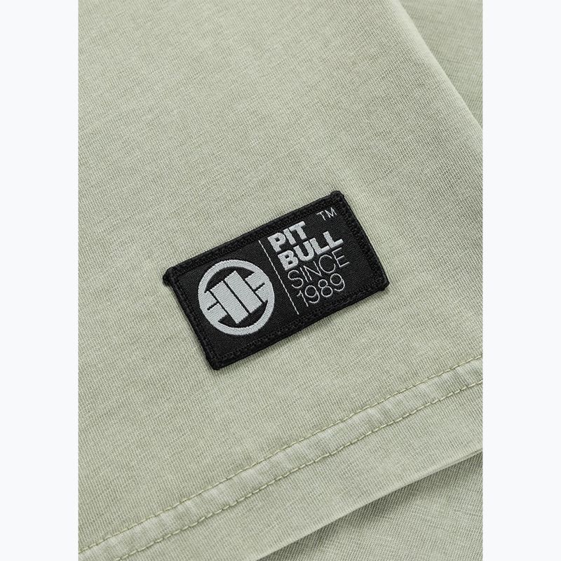 Vyriški marškinėliai Pitbull Planet Surf dusty salvia 10