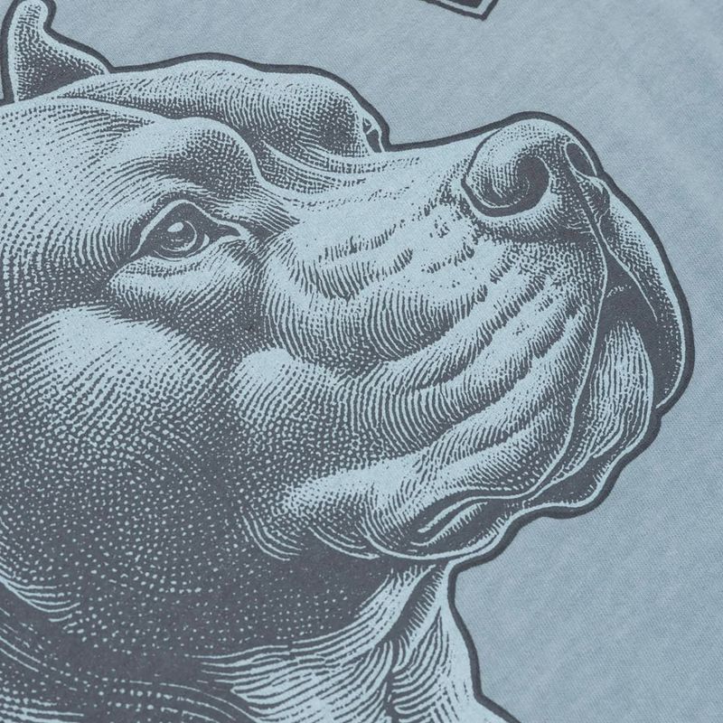 Vyriški marškinėliai Pitbull Pacyfic blue 6