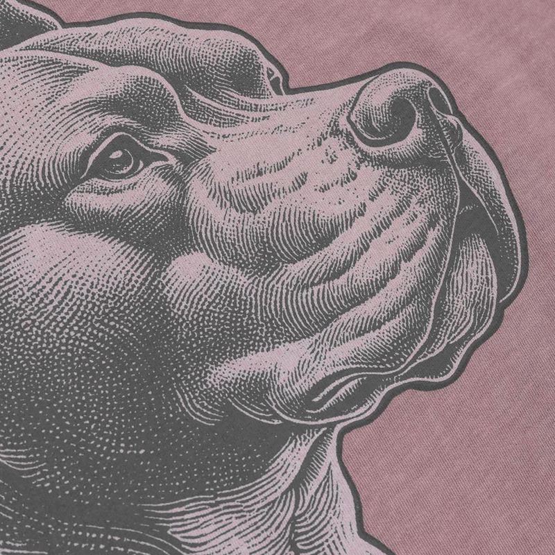 Vyriški marškinėliai Pitbull Pacyfic dusty burgundy 6