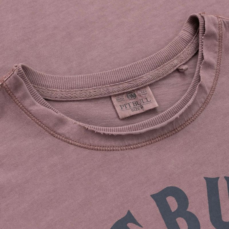 Vyriški marškinėliai Pitbull Shkull Logo dusty burgundy 2
