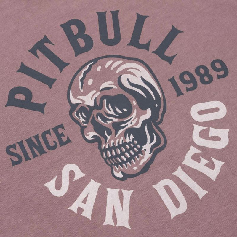Vyriški marškinėliai Pitbull Shkull Logo dusty burgundy 3