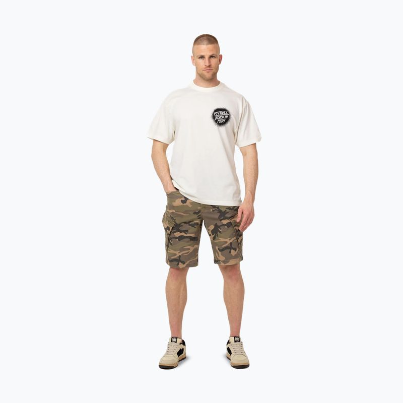 Vyriški marškinėliai Pitbull Graffiti off white 2