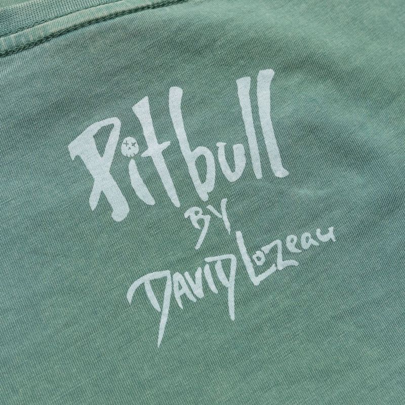 Moteriški marškinėliai Pitbull Cruisinandboozin mint 7