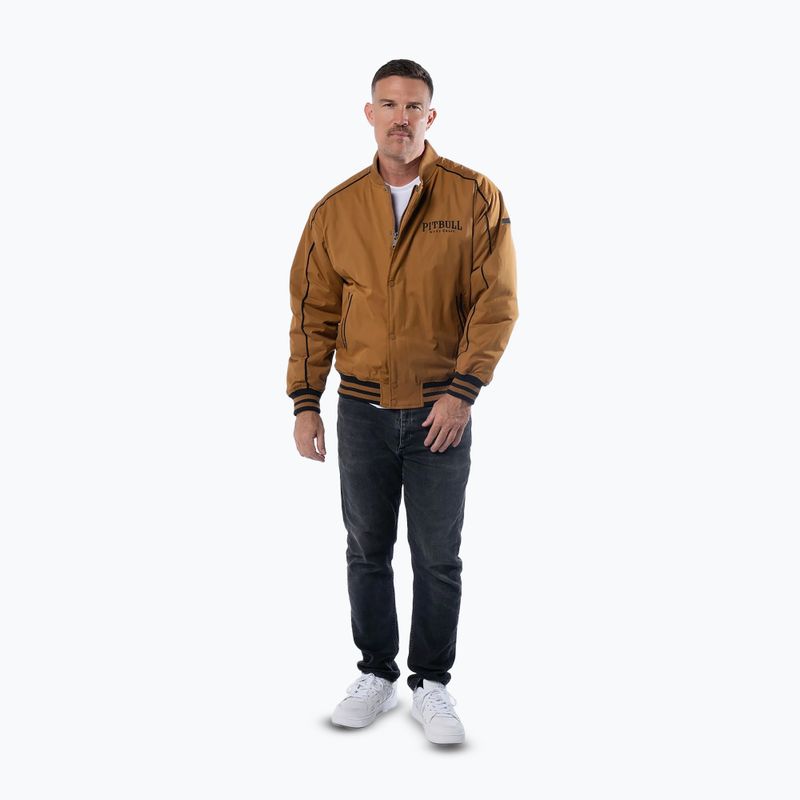 Vyriška striukė Pitbull Radford Baseball honey yellow 2