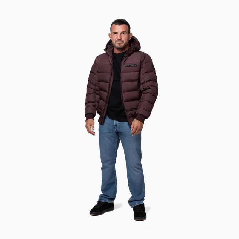 Vyriška žieminė striukė Pitbull Dillon Quilted Hooded burgundy 2