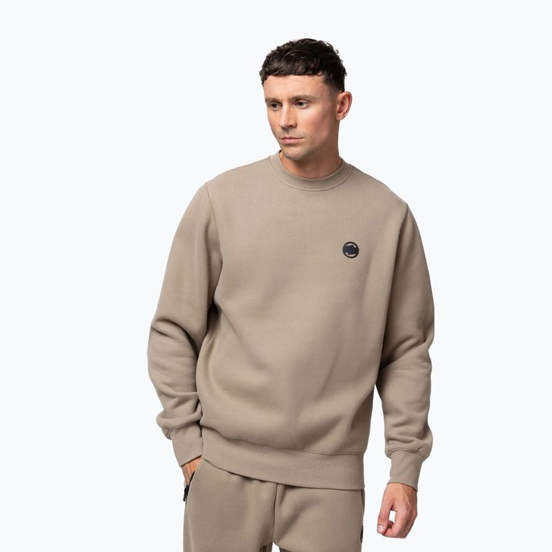 Vyriškas džemperis Pitbull Small Logo Crewneck pale sand 4