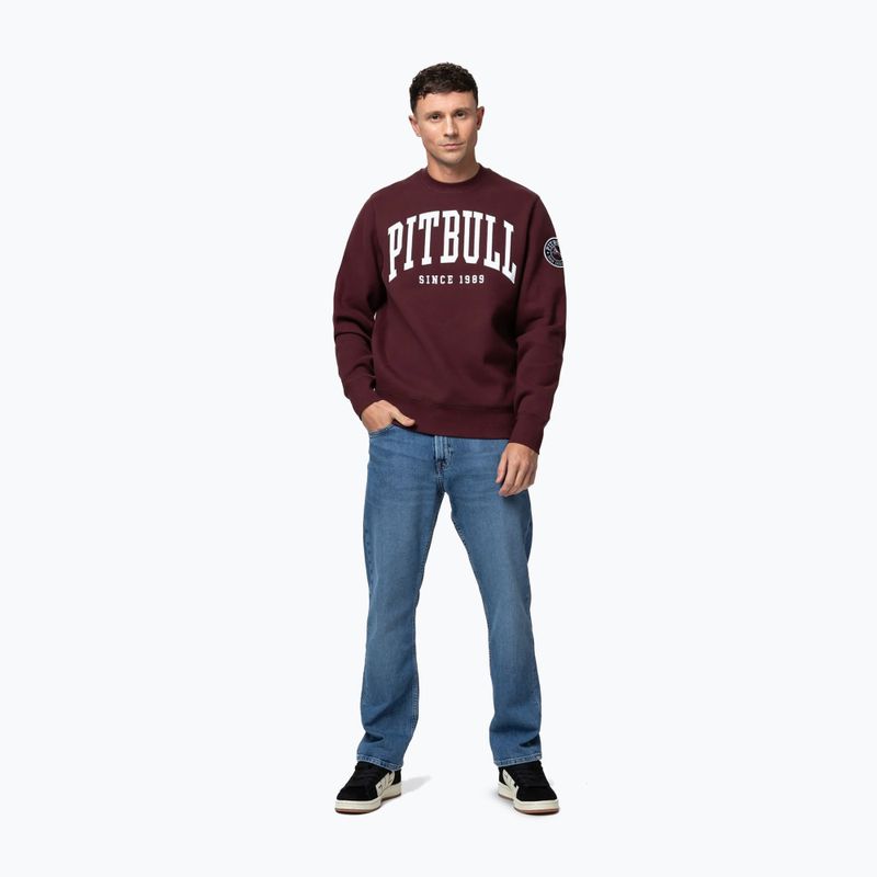 Vyriškas džemperis Pitbull Norton Crewneck dark burgundy 2