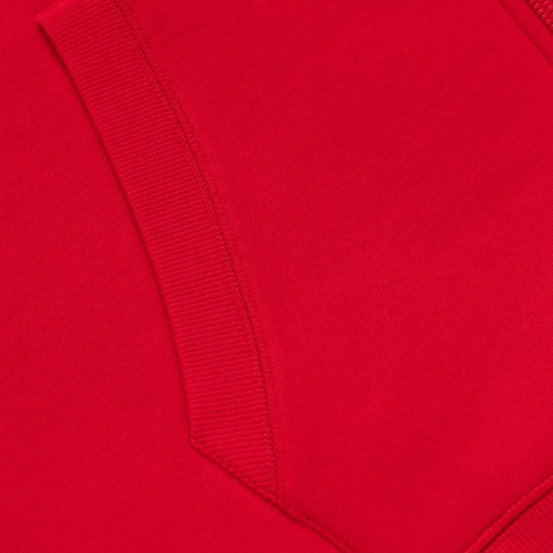 Vyriškas džemperis Pitbull San Diego Ca Hooded Zip red 10