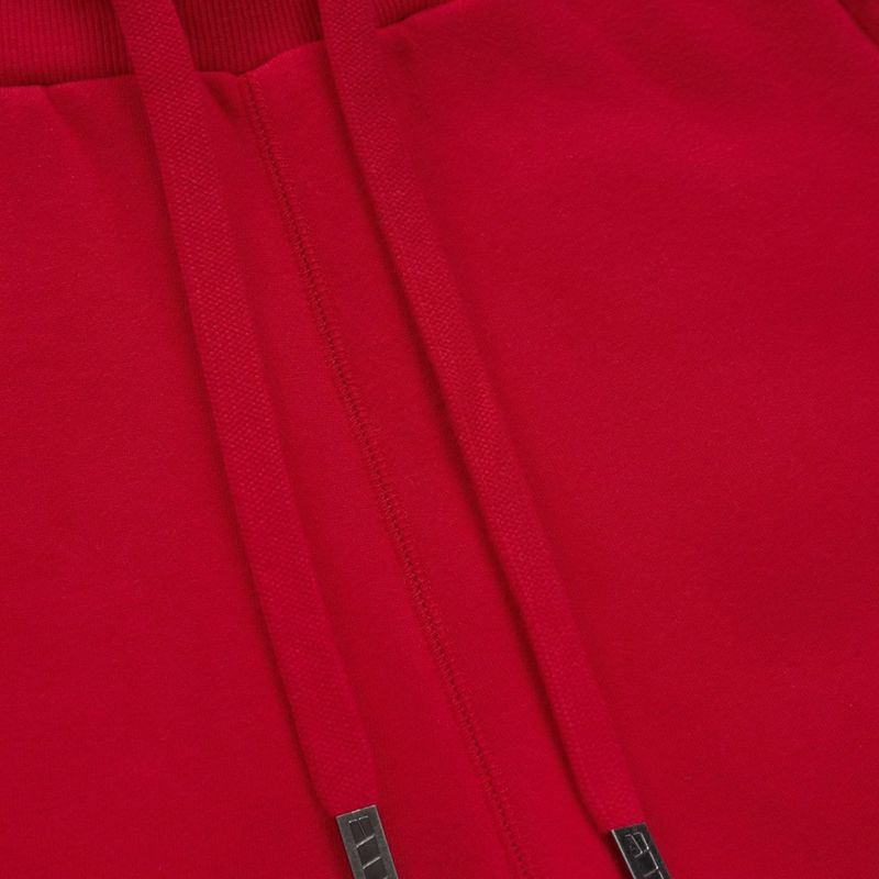 Vyriškos kelnės Pitbull Small Logo HD Track red 7