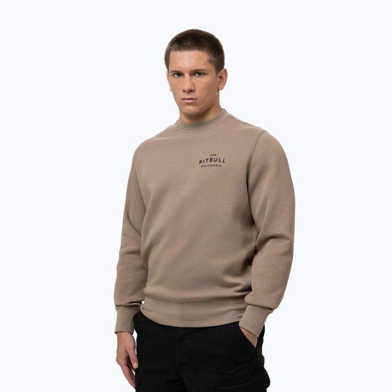 Vyriškas džemperis Pitbull Sampson Crewneck Sweatshirt pale sand 4
