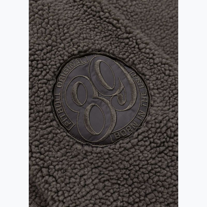 Vyriškas džemperis Pitbull Galaxy Hooded Zip taupe 9