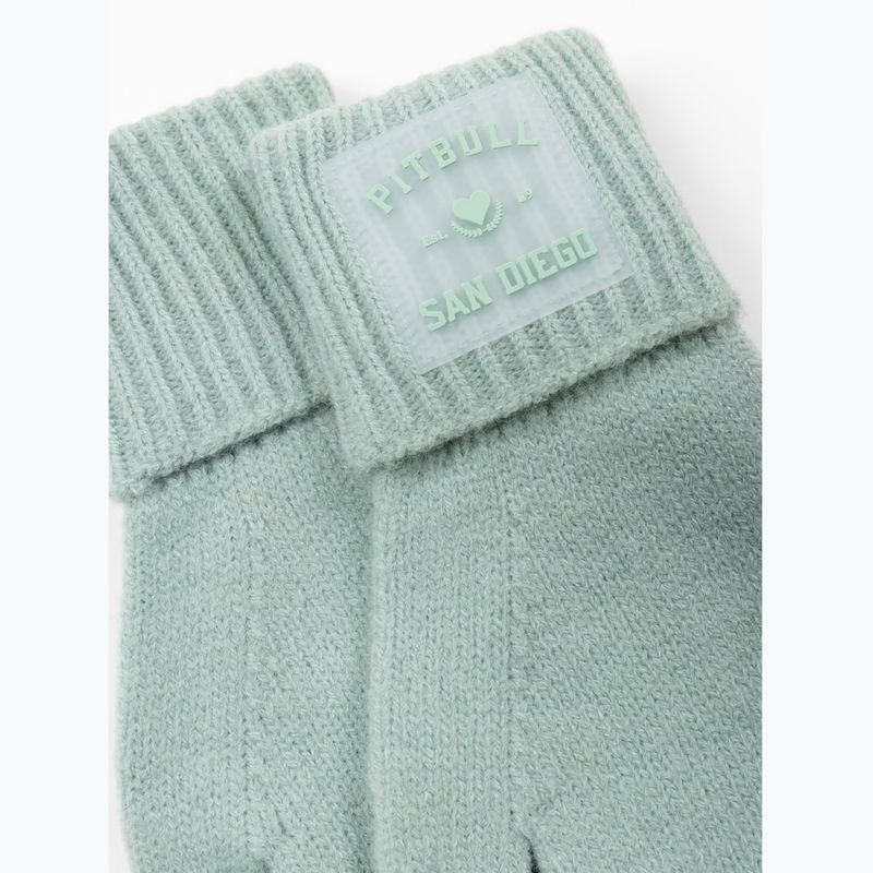 Pirštinės Pitbull Love PB light mint 2