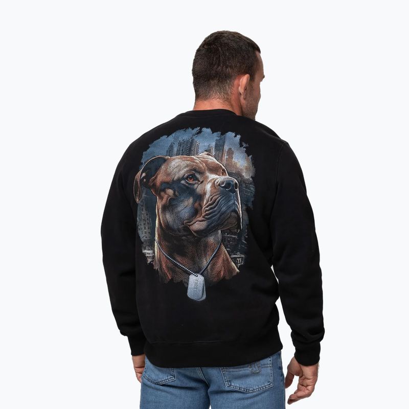 Vyriškas džemperis Pitbull Crewneck Hero black 3
