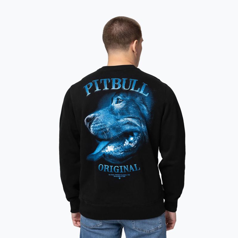 Vyriškas džemperis Pitbull Crewneck Midnight black 3