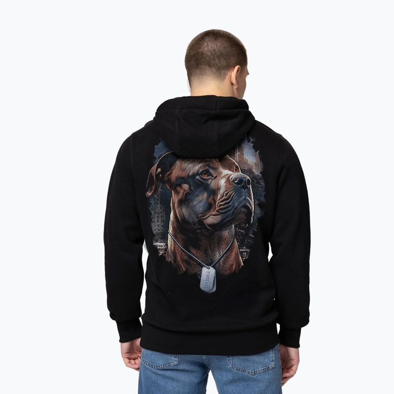 Vyriškas džemperis Pitbull Hero Hooded black 2
