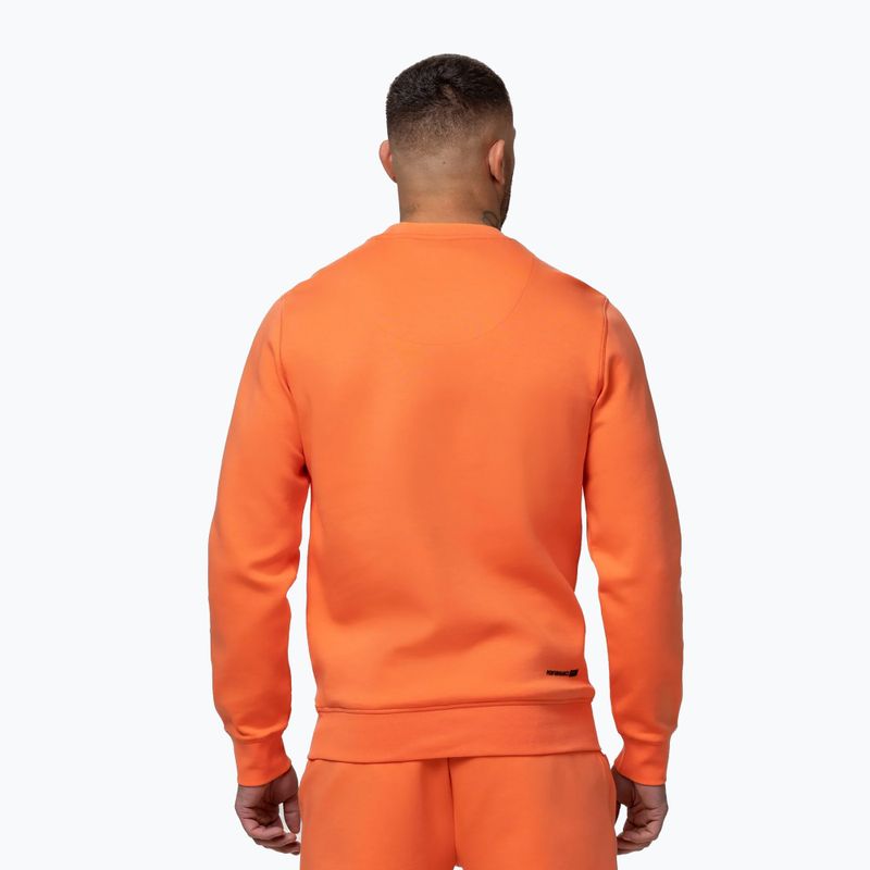 Vyriškas džemperis Pitbull Dogwood Crewneck Sweatshirt fluo orange 3