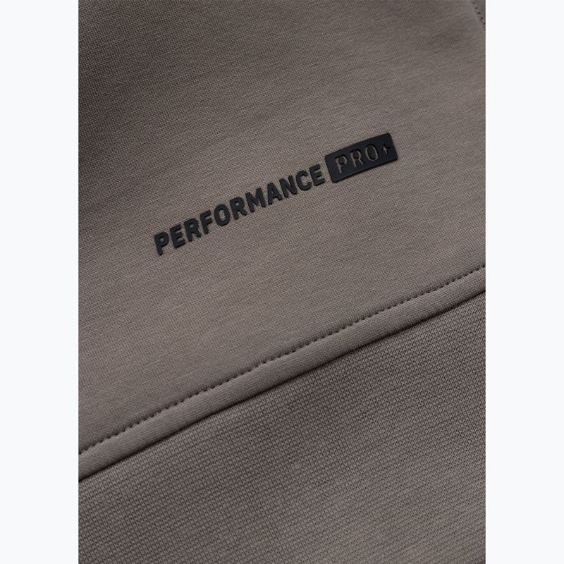 Vyriškas džemperis Pitbull Dogwood Crewneck Sweatshirt taupe 9