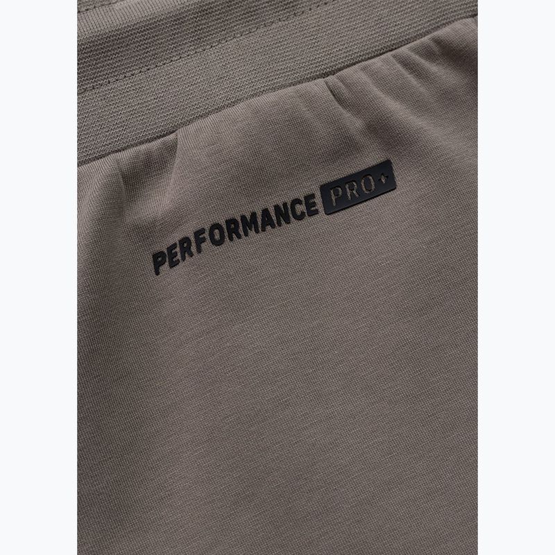 Vyriškos kelnės Pitbull Dogwood Track taupe 10