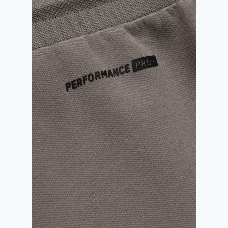 Vyriški šortai Pitbull Dogwood Sport taupe 9