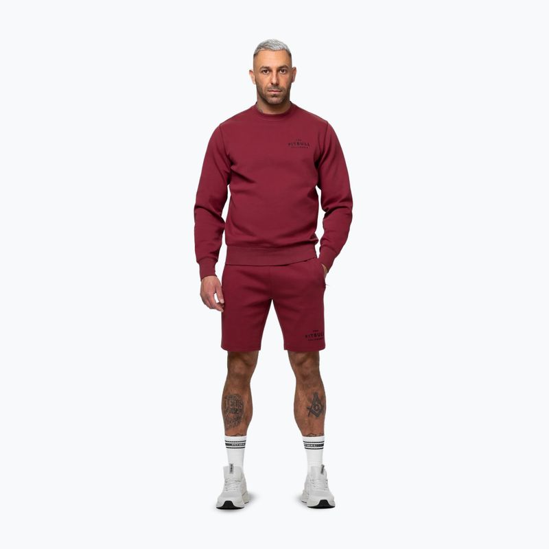 Vyriškas džemperis Pitbull Sampson Crewneck Sweatshirt burgundy 2