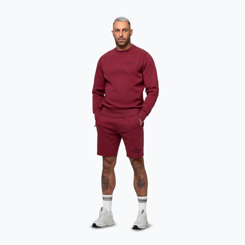 Vyriškas džemperis Pitbull Sampson Crewneck Sweatshirt burgundy 4
