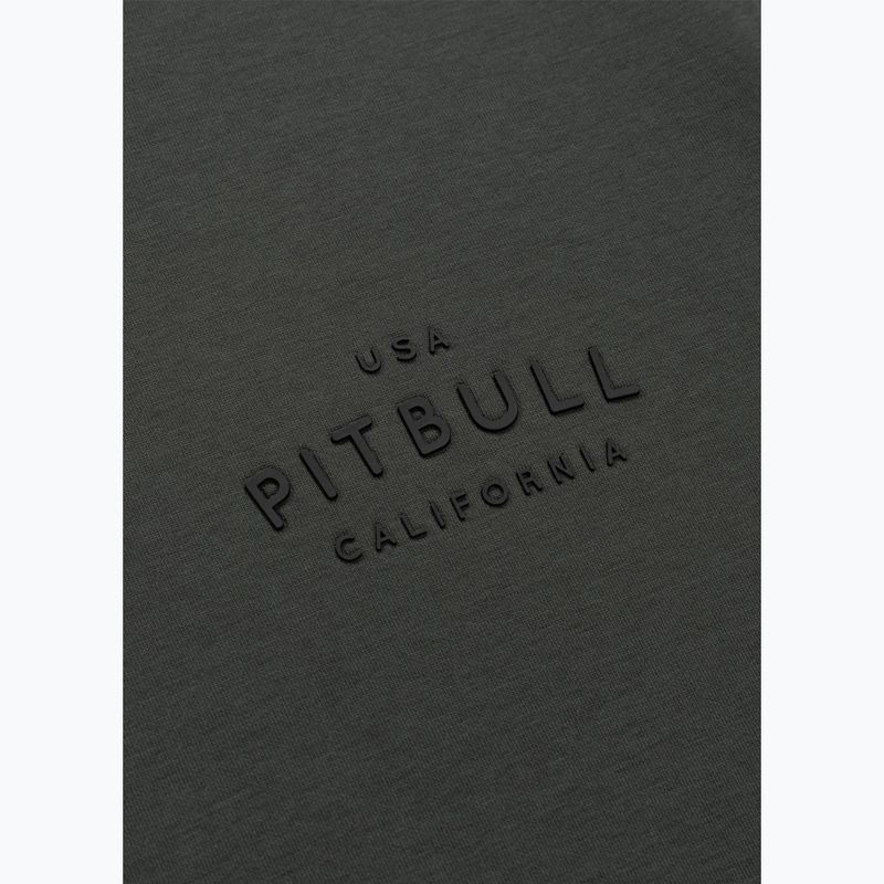 Vyriškas džemperis Pitbull Sampson Hooded Sweatshirt grey/green 10