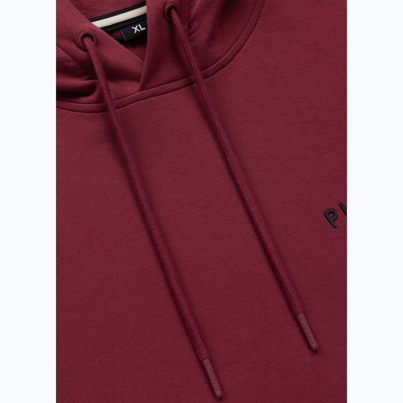 Vyriškas džemperis Pitbull Sampson Hooded Sweatshirt burgundy 9