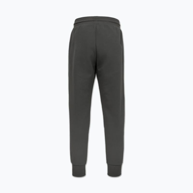 Vyriškos kelnės Pitbull Sampson Track grey/green 5