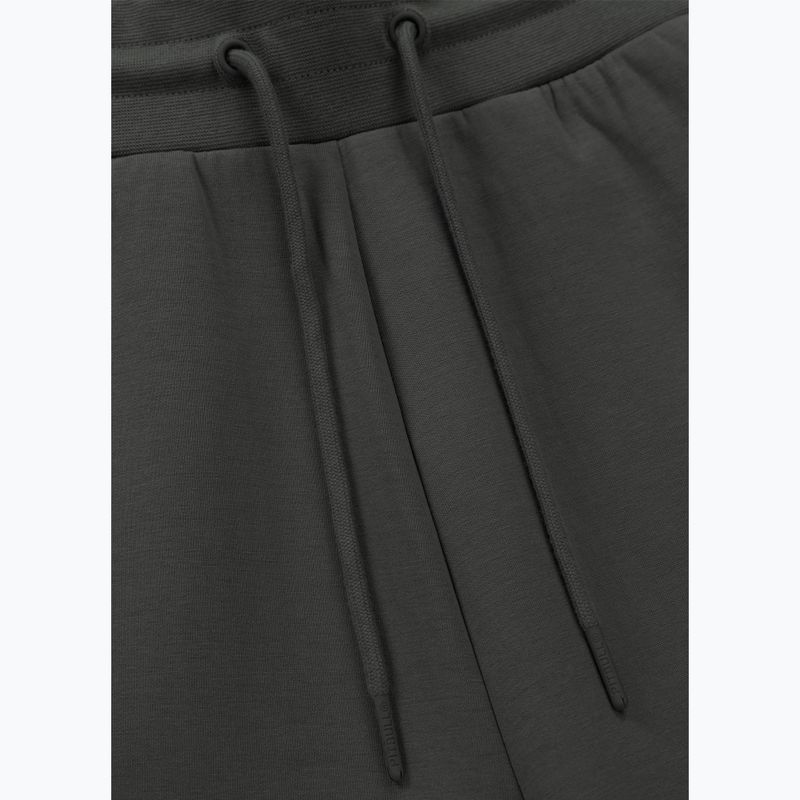 Vyriški šortai Pitbull Sampson grey/green 6