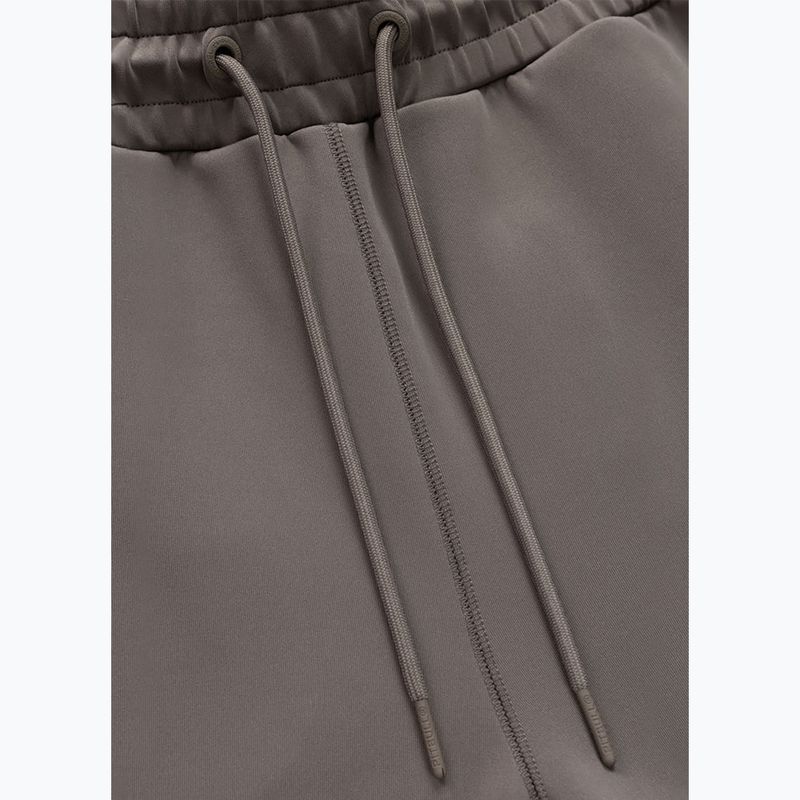 Vyriškos kelnės Pitbull Track Powers taupe 7