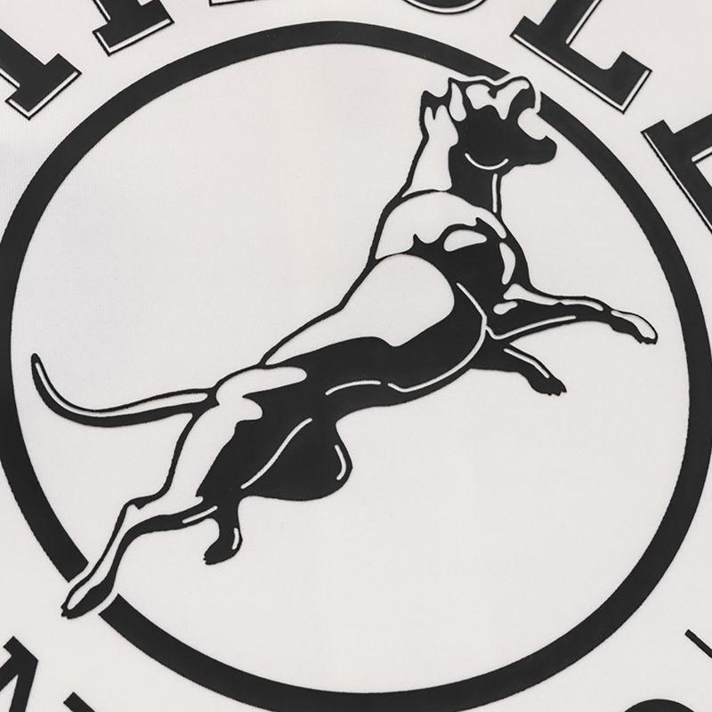 Vyriškas džemperis Pitbull Track Jacket San Diego 8