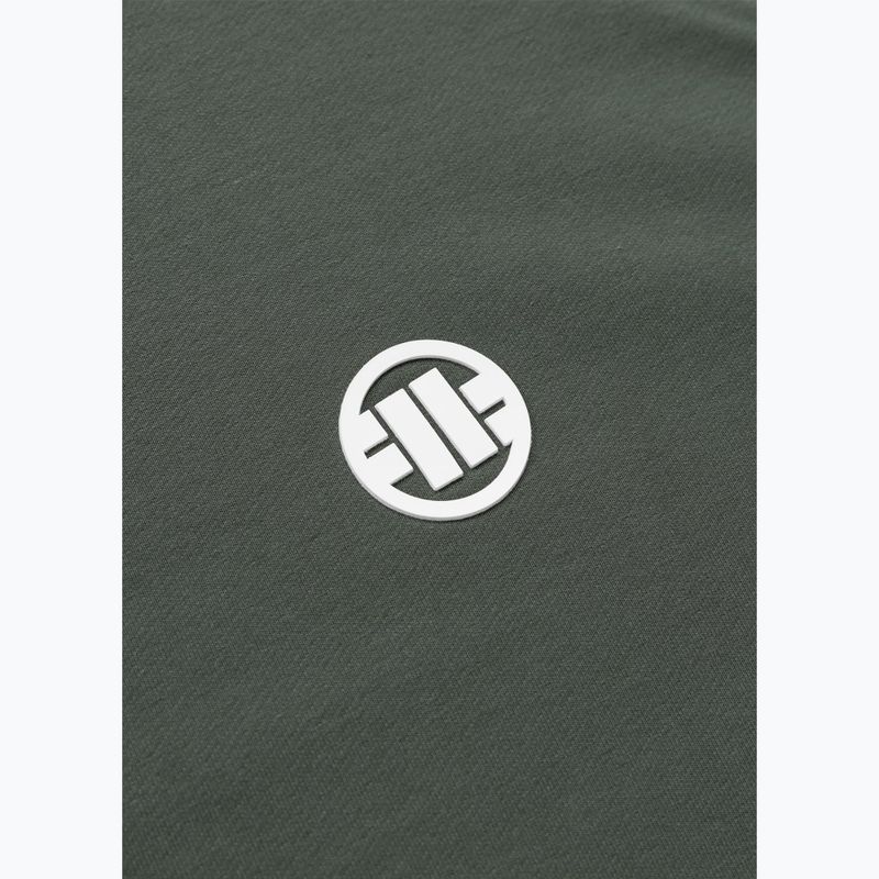 Vyriškas džemperis Pitbull Nugget Small Logo Crewneck sage green 8