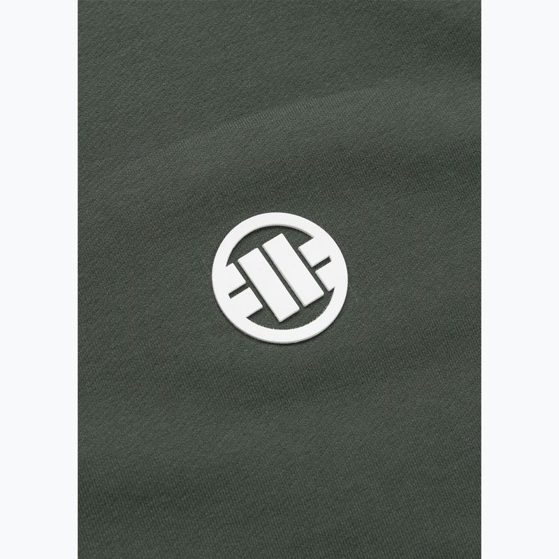 Vyriškas džemperis Pitbull Nugget Small Logo Hooded Zip sage green 10