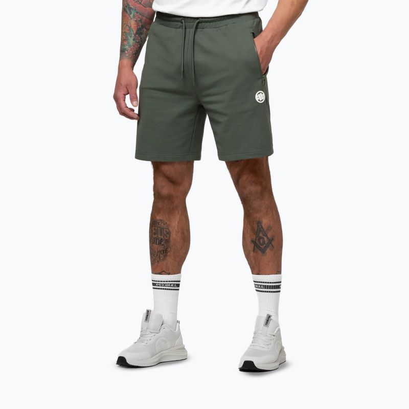 Vyriški šortai Pitbull Nugget Small Logo sage green 5