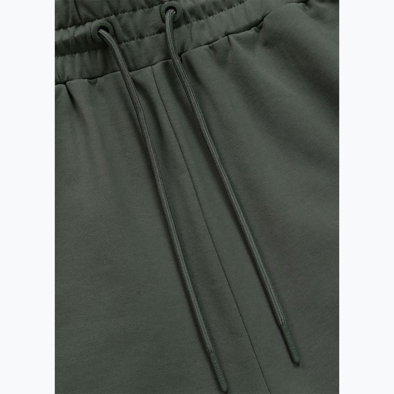 Vyriški šortai Pitbull Nugget Small Logo sage green 8