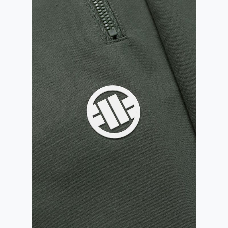 Vyriški šortai Pitbull Nugget Small Logo sage green 10