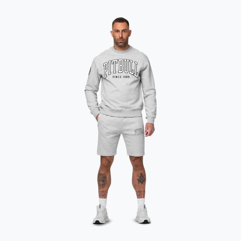 Vyriškas džemperis Pitbull Badger Crewneck grey/melange 2