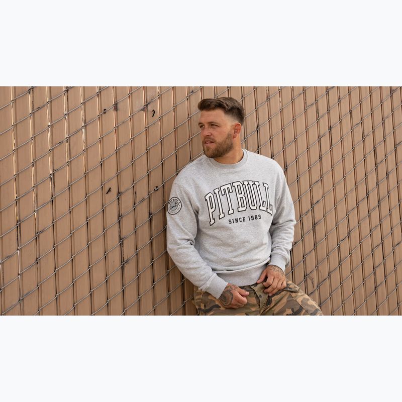 Vyriškas džemperis Pitbull Badger Crewneck grey/melange 12