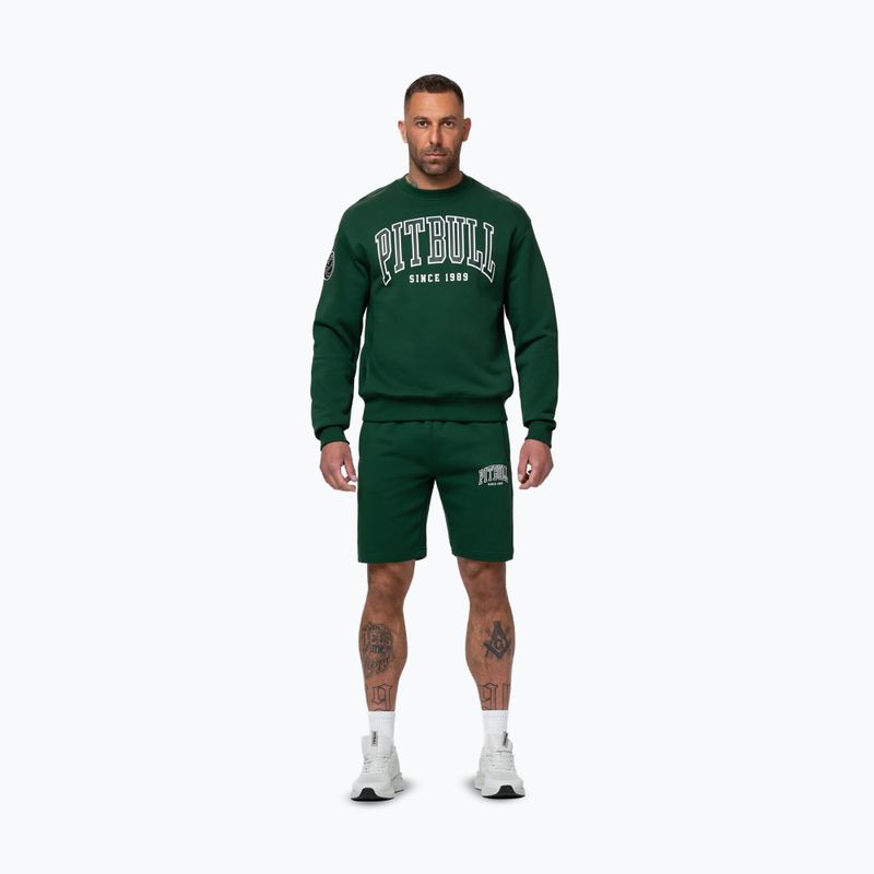 Vyriškas džemperis Pitbull Badger Crewneck hunter/green 2