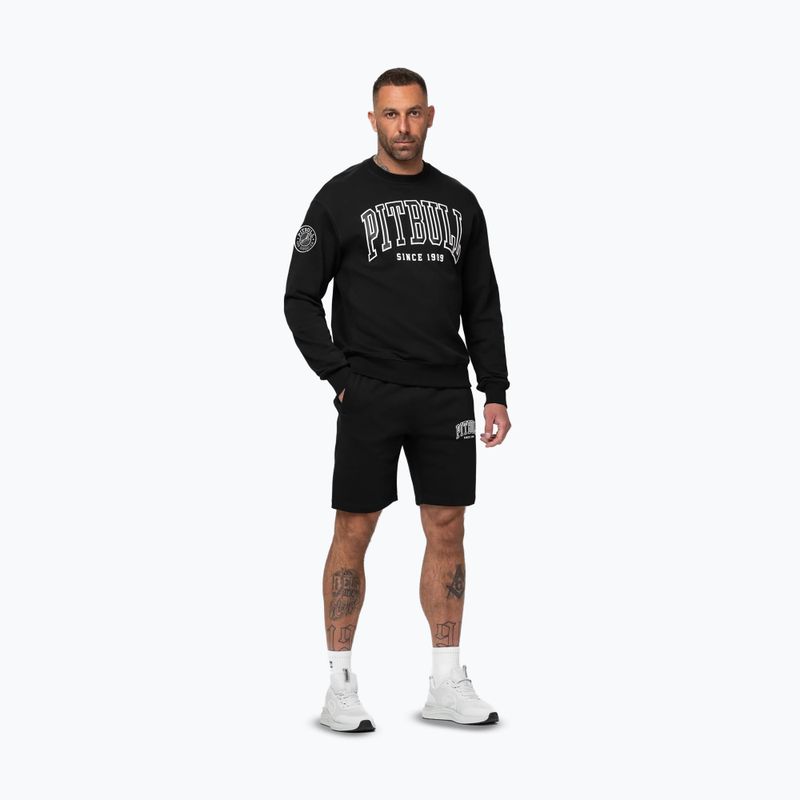 Vyriškas džemperis Pitbull Badger Crewneck black 2