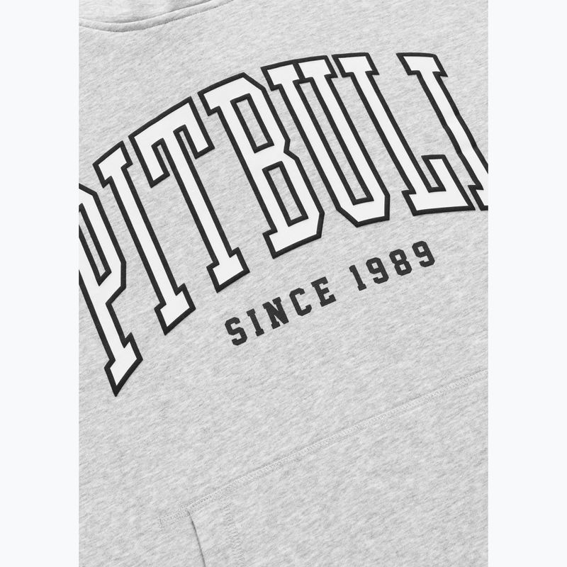 Vyriškas džemperis Pitbull Badger Hooded grey/melange 9