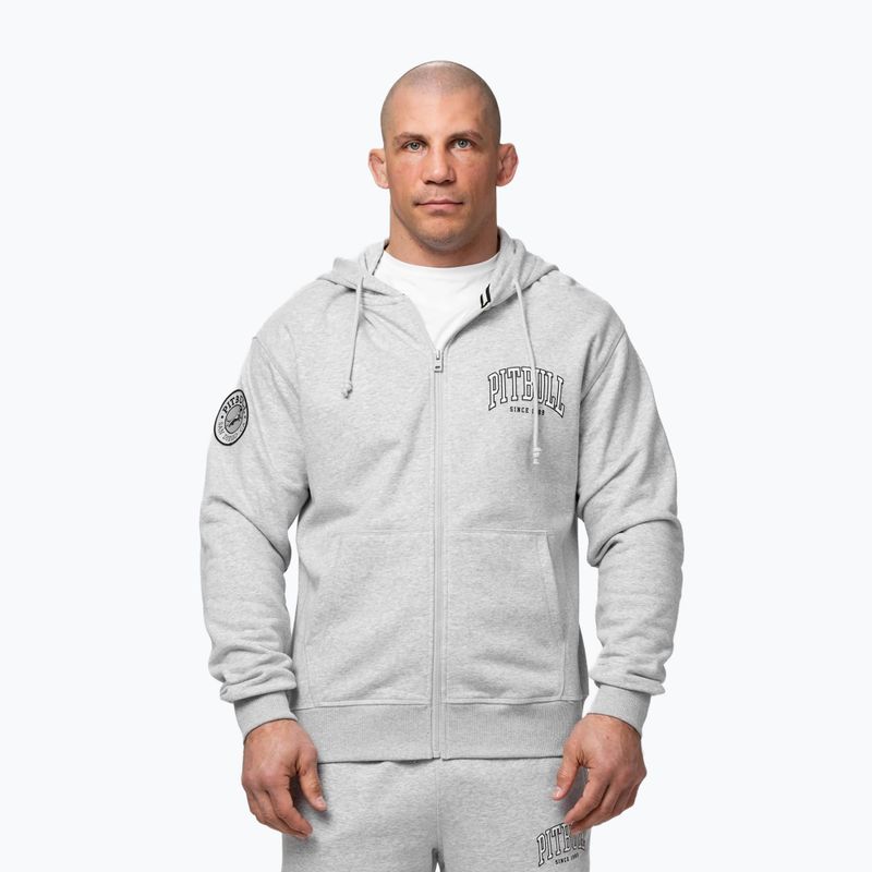 Vyriškas džemperis Pitbull Badger Hooded Zip grey/melange